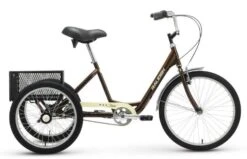 Raleigh Tristar 3-Speed 2017