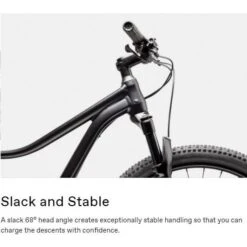 Cannondale 27.5/29 F Trail 5 2021 -Quality Bike Equipment Store 3CzMJRcuxGi6xKgwPrnSbOb8k