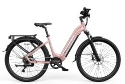 Hovsco HovRanger Step Through