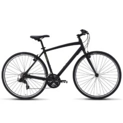 Raleigh Cadent 1 2019