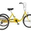 Sun Bicycles Atlas Cargo 24 2017 -Quality Bike Equipment Store 7l4yvg85tiioMrmJN 2KxjbfY