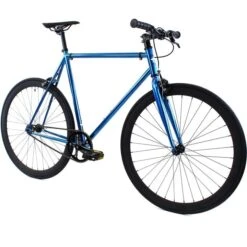 Golden Cycles GoldenCycles Blue Jay 2021