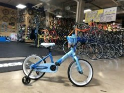 Batch Bicycles Batch Disney Frozenå¨ 16" Kids Bicycle 2021