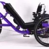 Catrike 559 Candy Purple -Quality Bike Equipment Store MKBBGJQbanY8kPtUOXcH4pfsg