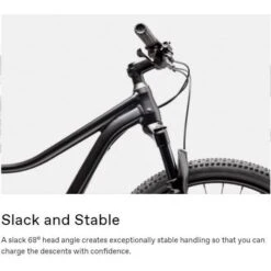 Cannondale 27.5/29 F Trail 5 2021 -Quality Bike Equipment Store U Ct6p4byuGxr8LdYqJT7Fd9g