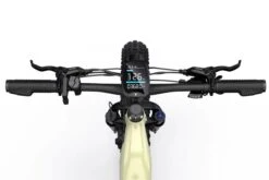 Other HOVSCO™ HovAlpha 26" Step-Thru Fat Ebike 2022 -Quality Bike Equipment Store iWJ yfuqaPWhprWA8THQUiTjQ