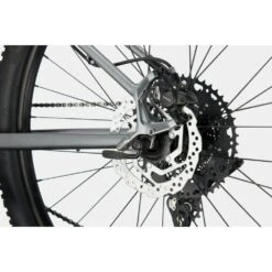 Cannondale 27.5/29 F Trail 5 2021 -Quality Bike Equipment Store oQo2XXBXmq33G226aY3yV46J8