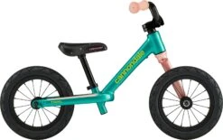 Cannondale Kids Trail Balance 2020