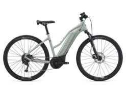 Giant Rove E+ 20MPH 2021