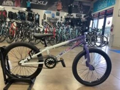 GT Friendship 20" Youth BMX/Freestyle Bike Friendship White