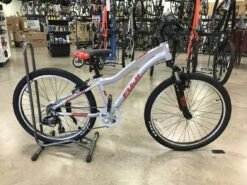 Fuji DYNAMITE 24 SPORT Silver 2021